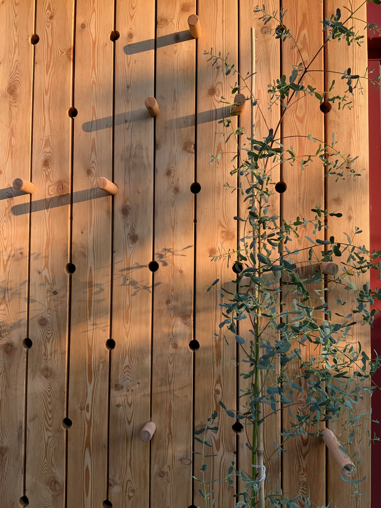 The materials palette is natural and tactile: oak timber flooring, European larch cladding, and a limestone patio provide warmth and texture. Powder-coated aluminium features and door frames in a soft oxide red take their cue from the Acer tree in the garden. Underfloor heating ensures comfort year-round.</p>
<p>The design was carefully considered to meet the needs of a young family while retaining a calm, open feel and an attractive aesthetic when viewed from the house.